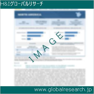グローバルリサーチ調査レポートのイメージ